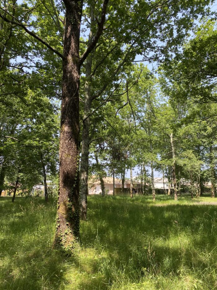 Terrain constructible Audenge  (Gironde 33)