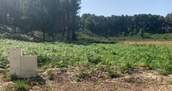Terrain constructible St girons  (Landes 40)