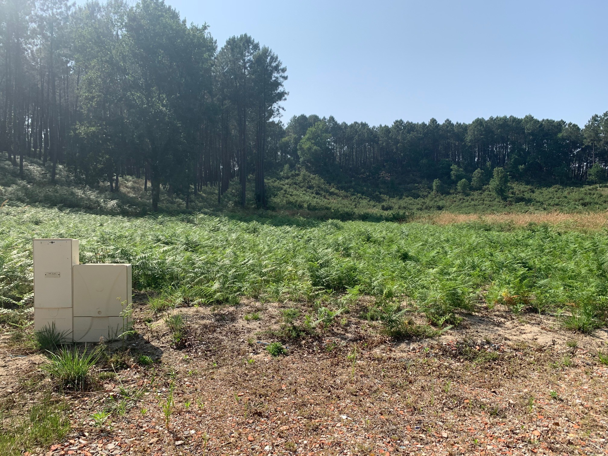 Terrain constructible St girons  (Landes 40)