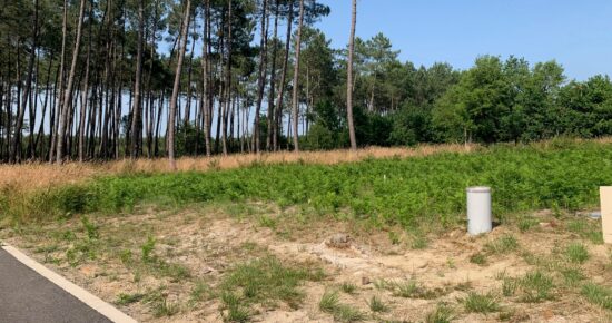 Terrain constructible Vielle-saint-girons  (Landes 40)