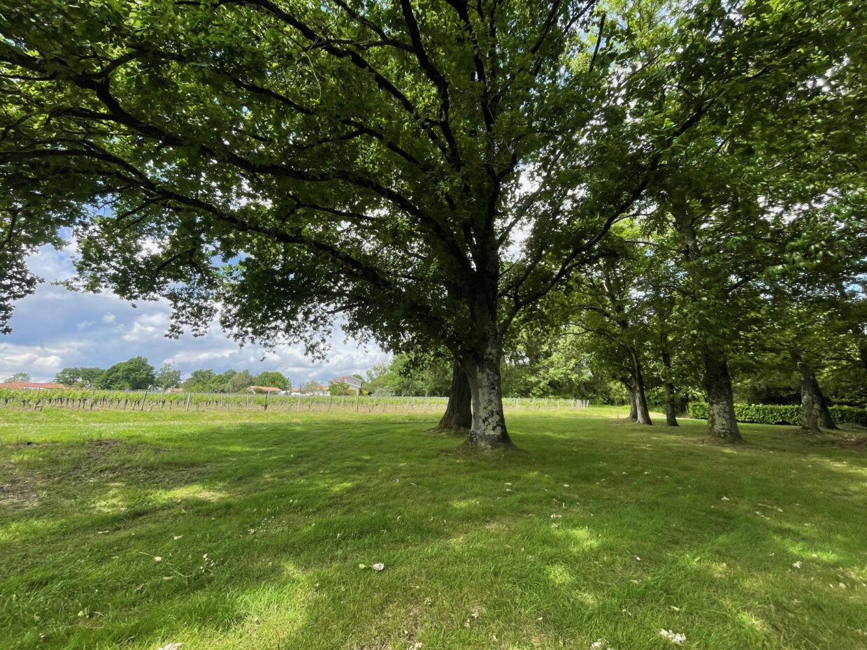 Terrain constructible Saint-sulpice-et-cameyrac  (Gironde 33)
