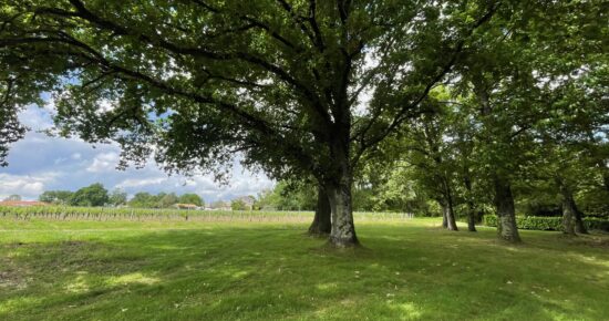 Terrain constructible Saint-sulpice-et-cameyrac  (Gironde 33)