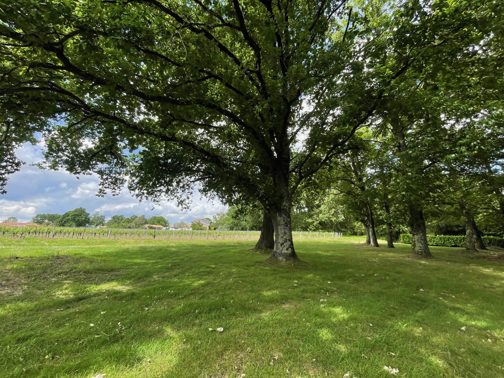 Terrain constructible Saint-sulpice-et-cameyrac  (Gironde 33)