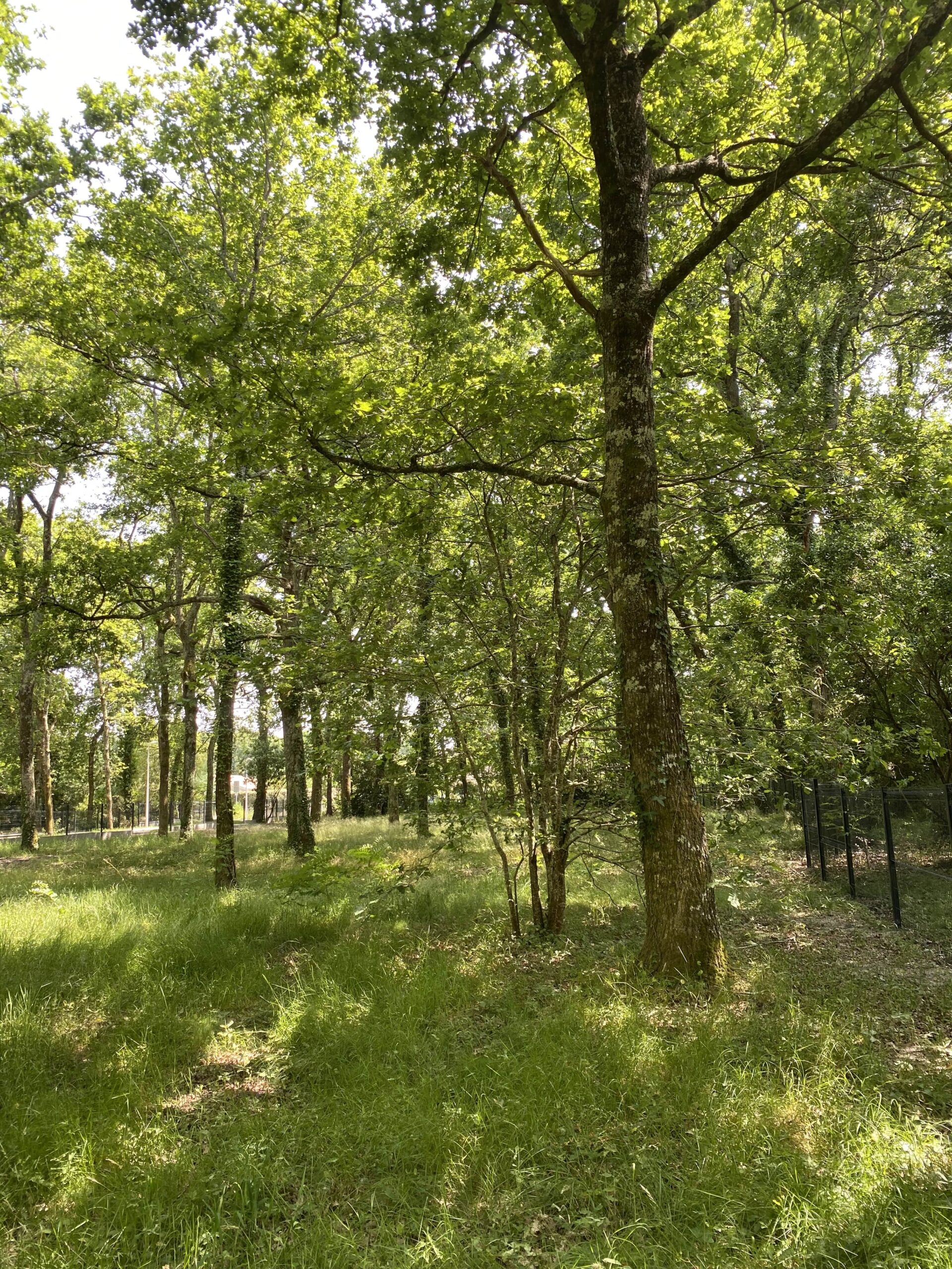 Terrain constructible Audenge  (Gironde 33)