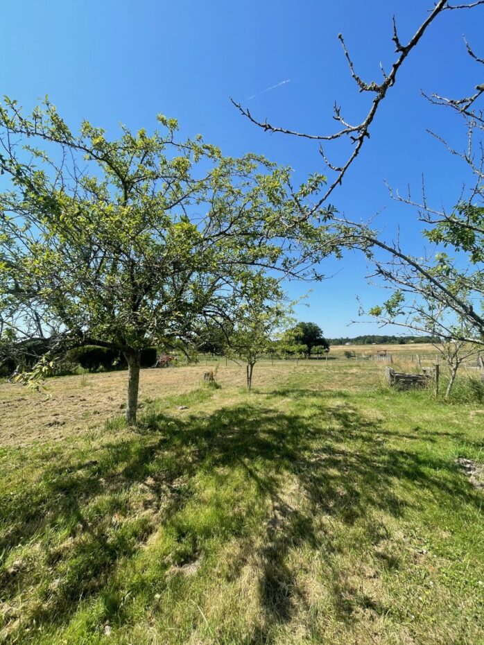 Terrain constructible Cézac  (Gironde 33)