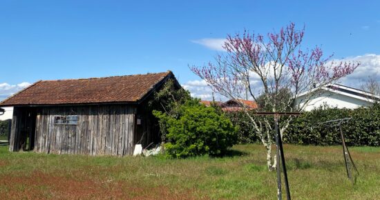Terrain constructible Gujan-mestras  (Gironde 33)