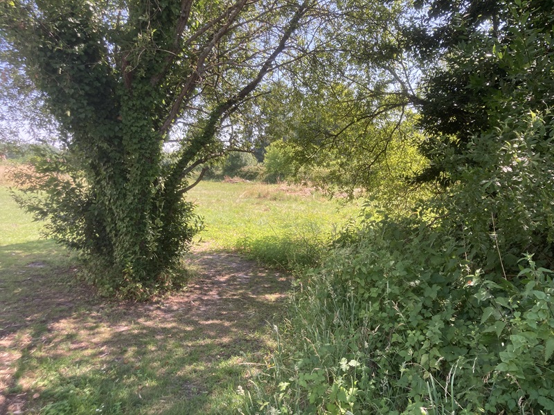 Terrain constructible Ambarès-et-lagrave  (Gironde 33)