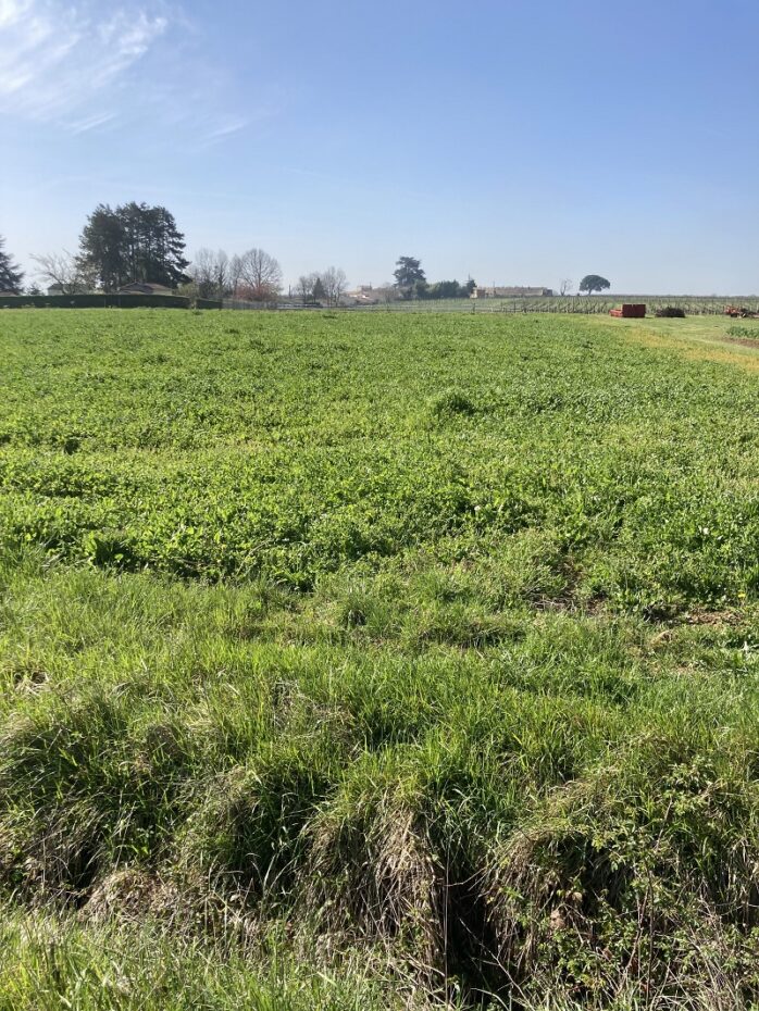 Terrain constructible Saint-quentin-de-baron  (Gironde 33)