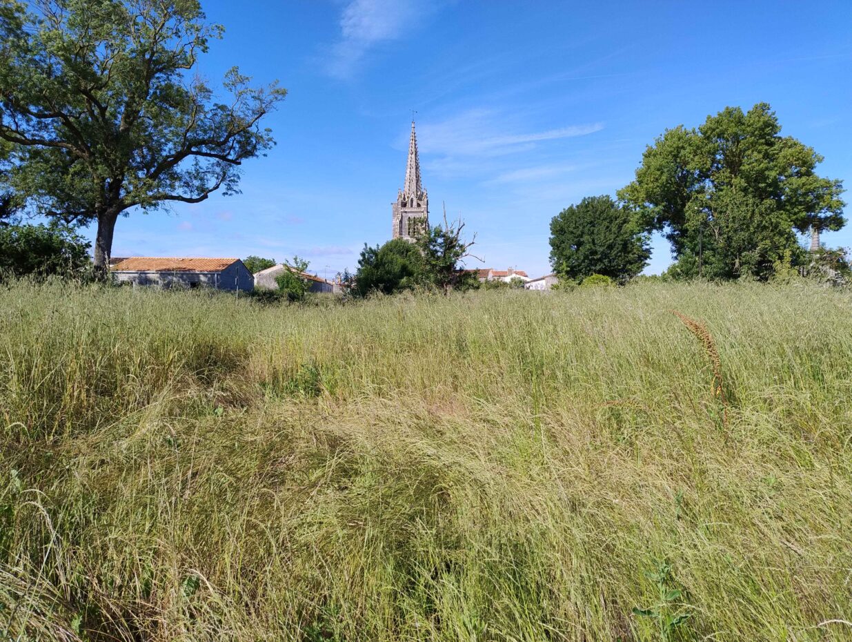 Terrain constructible Moëze  (Charente-Maritime 17)