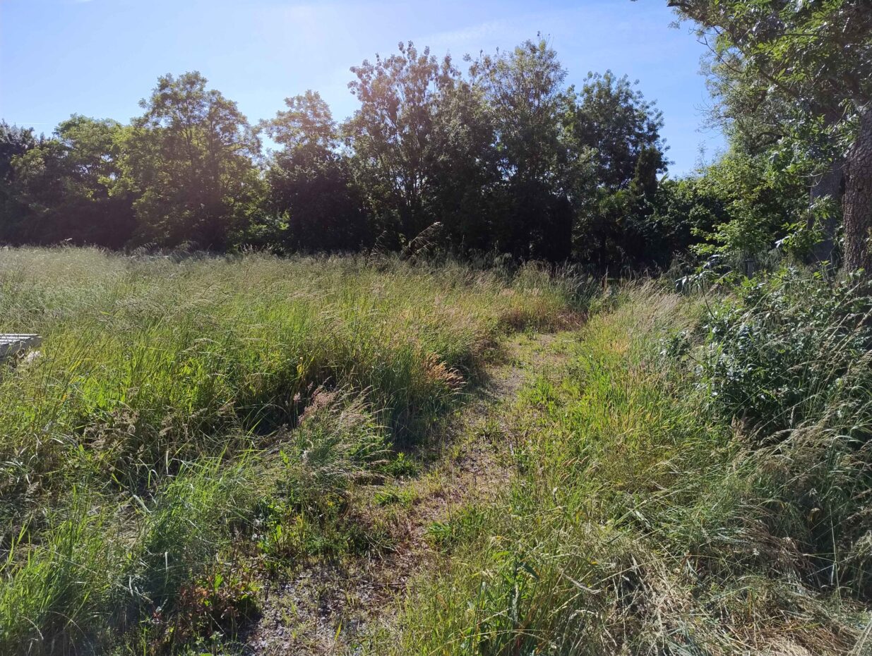 Terrain constructible Moëze  (Charente-Maritime 17)