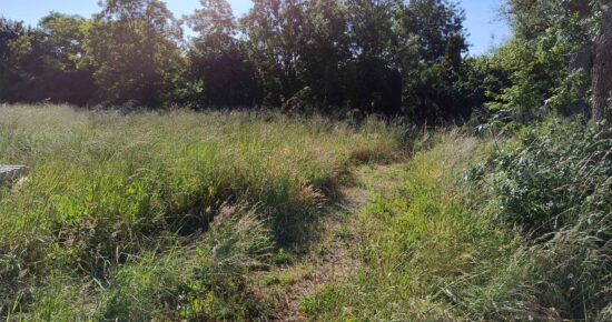Terrain constructible Moëze  (Charente-Maritime 17)