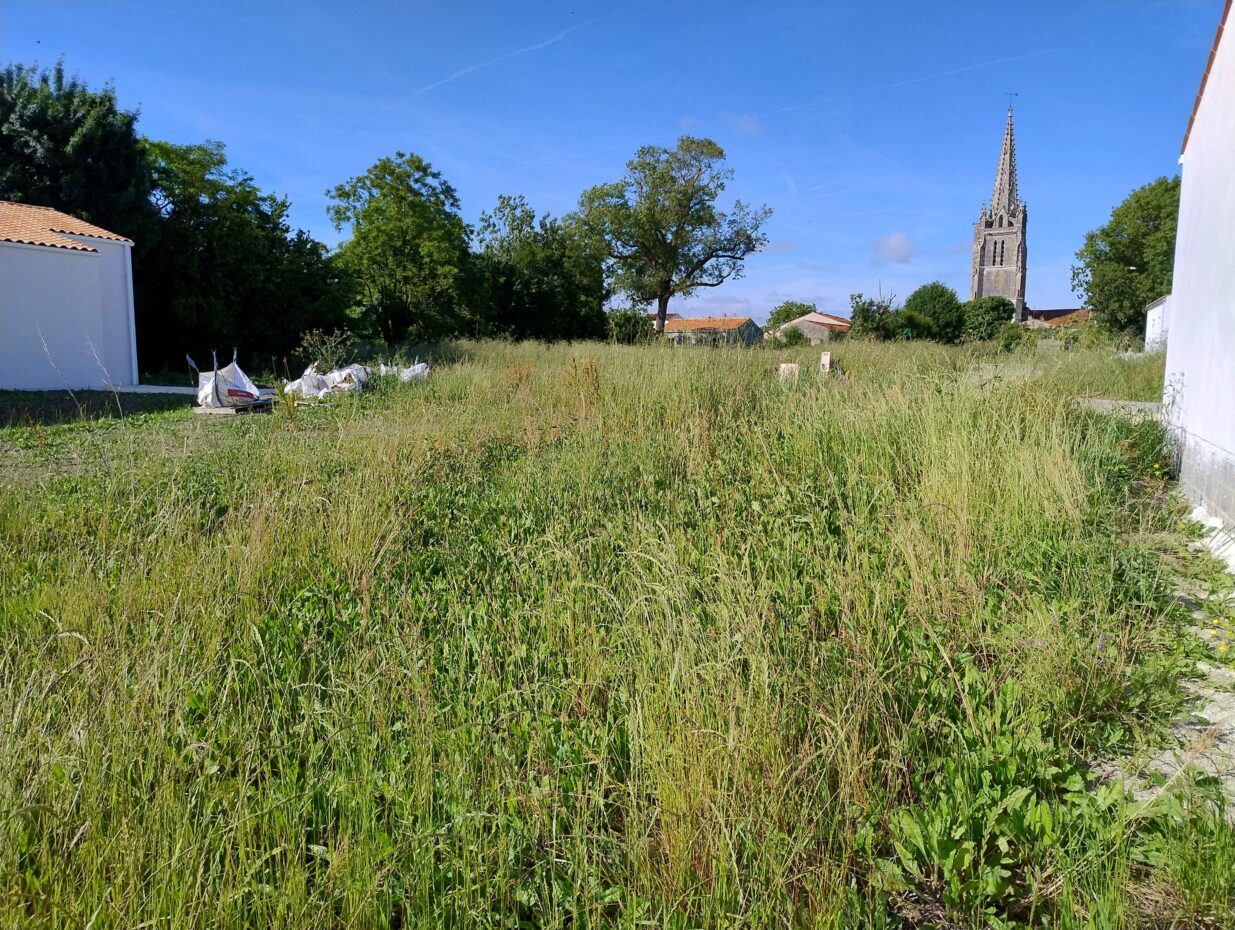Terrain constructible Moëze  (Charente-Maritime 17)