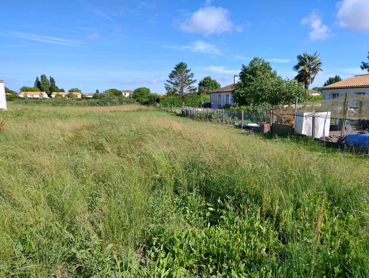 Terrain constructible Moëze  (Charente-Maritime 17)