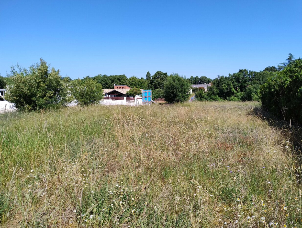 Terrain constructible Pont-l'abbé-d'arnoult  (Charente-Maritime 17)