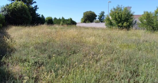 Terrain constructible Pont-l'abbé-d'arnoult  (Charente-Maritime 17)