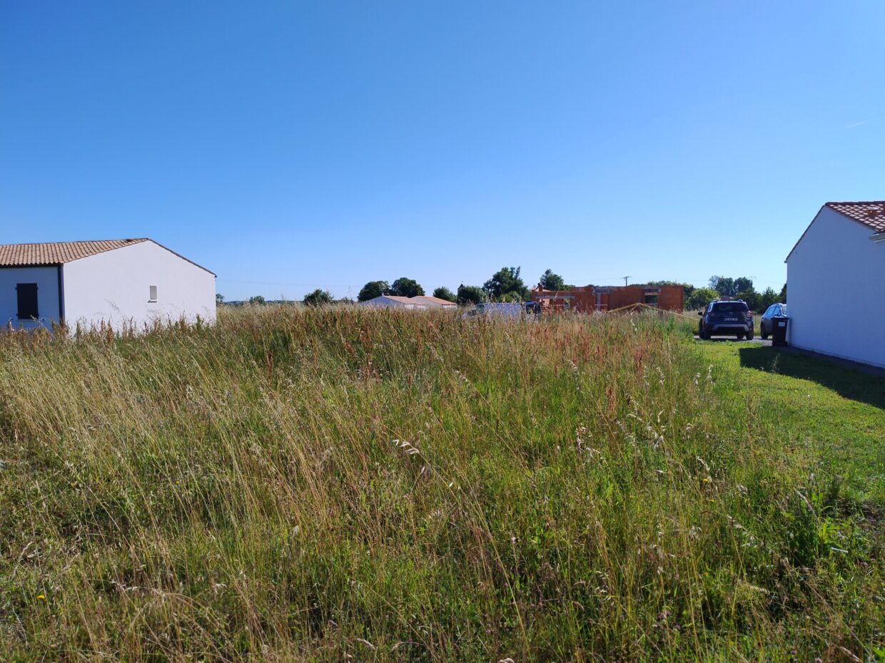 Terrain constructible Port-d'envaux  (Charente-Maritime 17)
