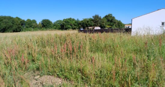 Terrain constructible Port-d'envaux  (Charente-Maritime 17)