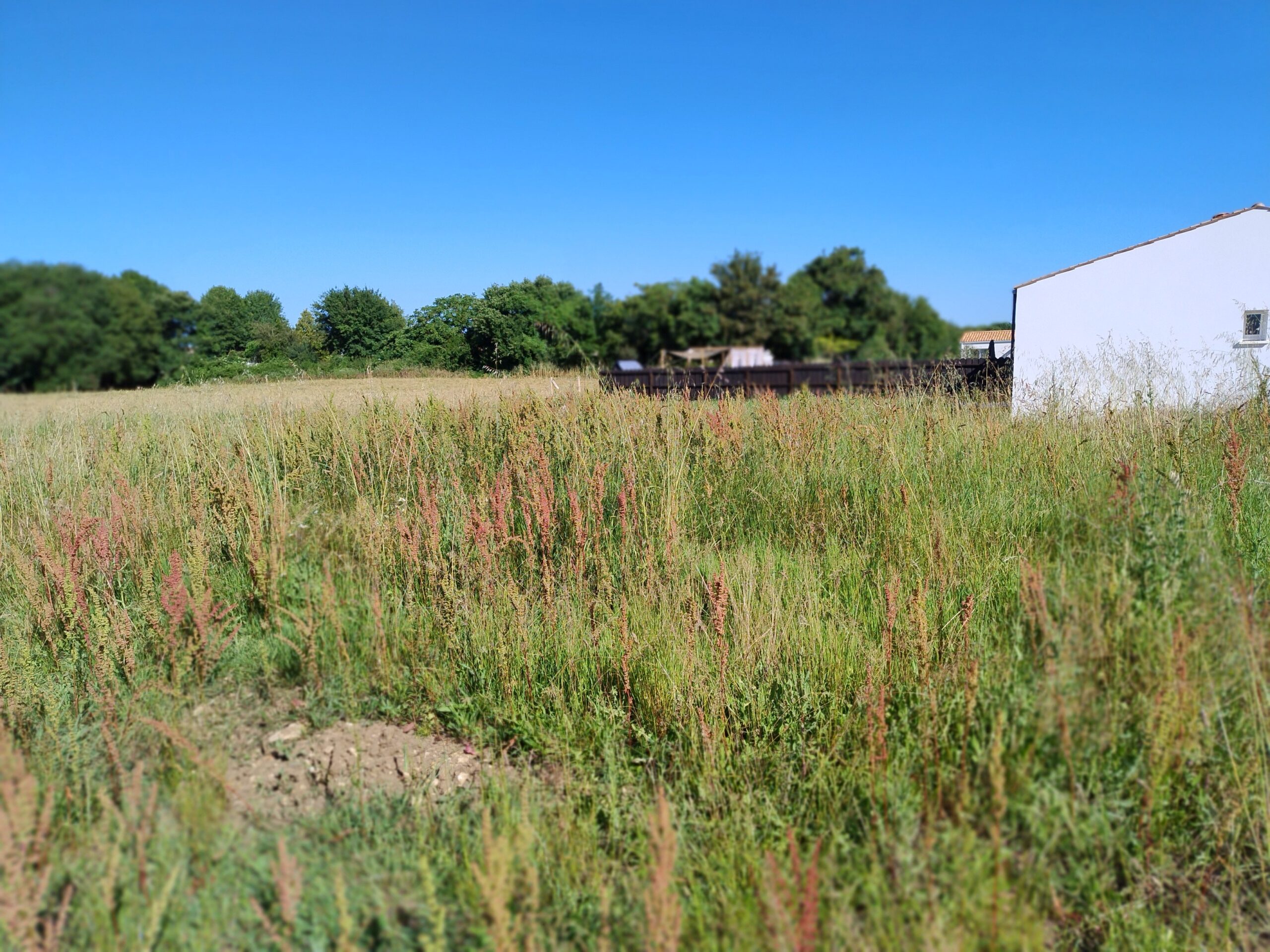 Terrain constructible Port-d'envaux  (Charente-Maritime 17)
