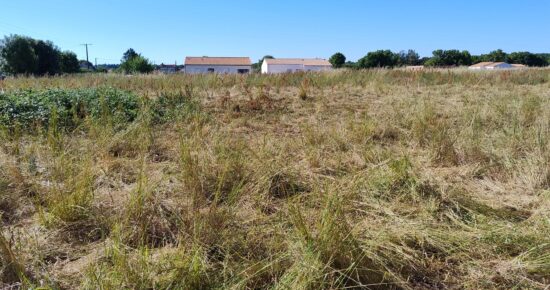 Terrain constructible Port-d'envaux  (Charente-Maritime 17)