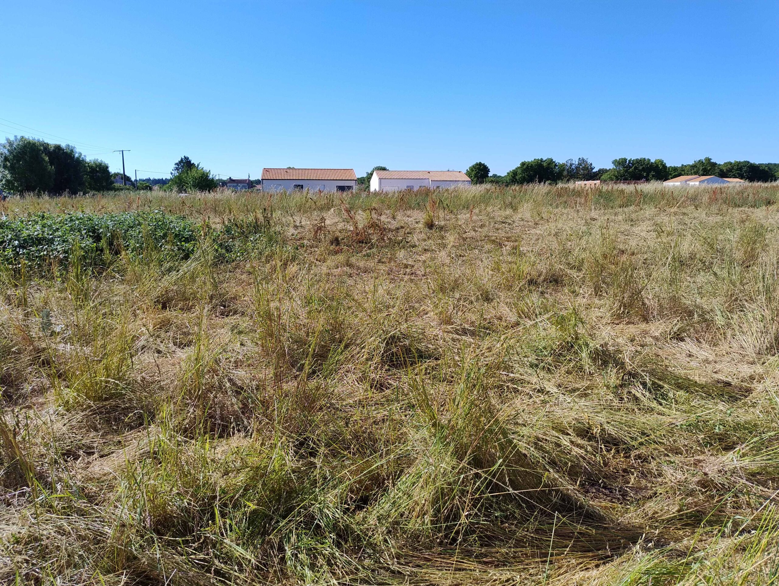 Terrain constructible Port-d'envaux  (Charente-Maritime 17)