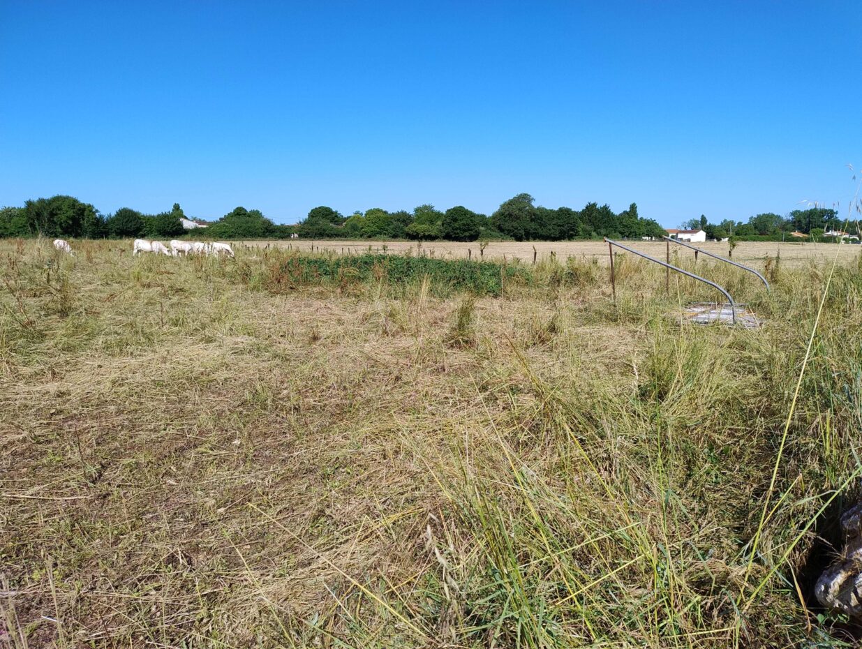 Terrain constructible Port-d'envaux  (Charente-Maritime 17)