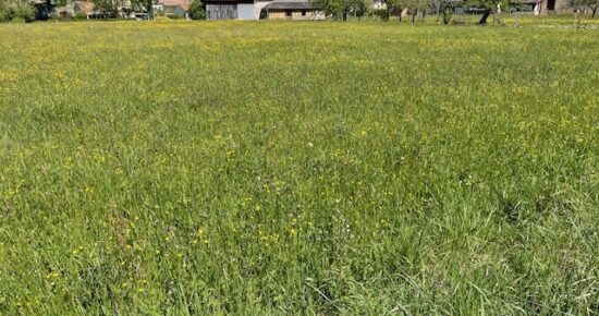 Terrain constructible Villeréal  (Lot et Garonne 47)