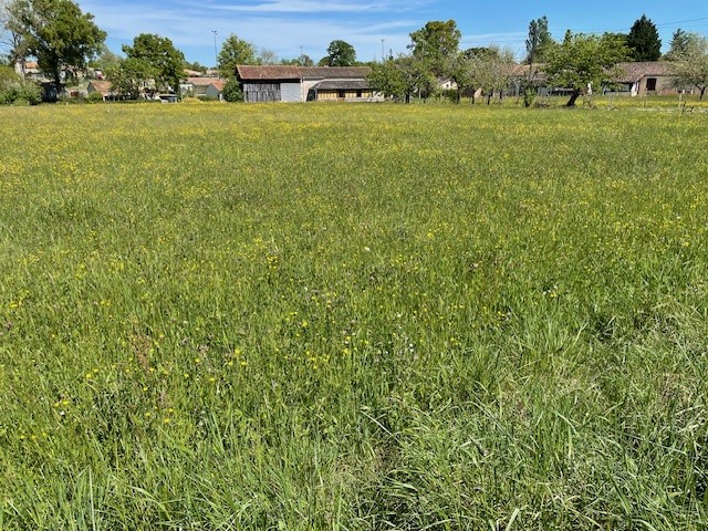 Terrain constructible Villeréal  (Lot et Garonne 47)