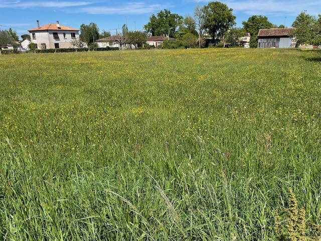 Terrain constructible Villeréal  (Lot et Garonne 47)