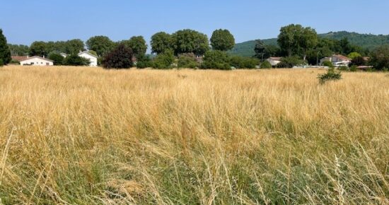 Terrain constructible Saint-sylvestre-sur-lot  (Lot et Garonne 47)