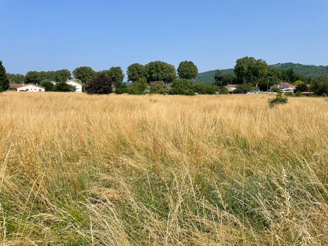 Terrain constructible Saint-sylvestre-sur-lot  (Lot et Garonne 47)