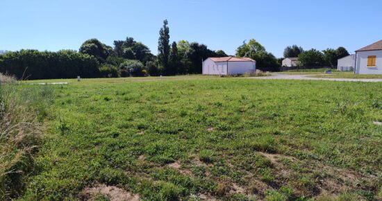 Terrain constructible Romegoux  (Charente-Maritime 17)