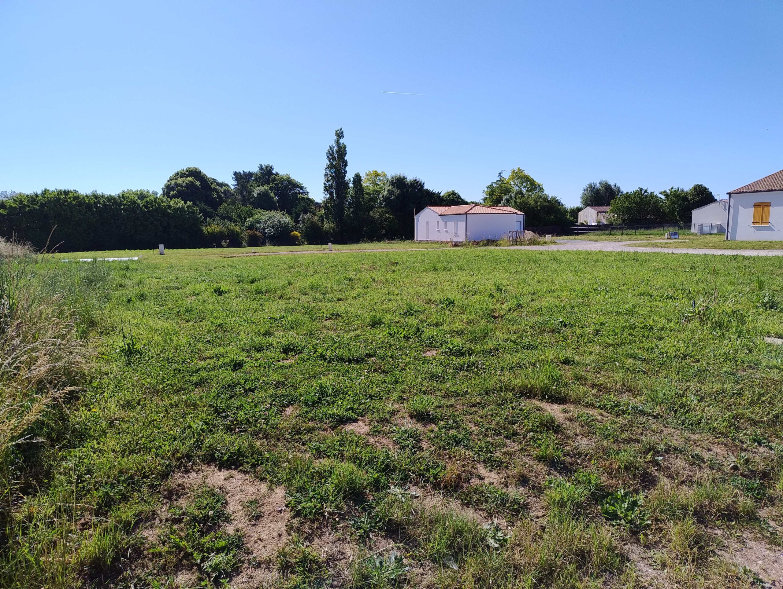 Terrain constructible Romegoux  (Charente-Maritime 17)