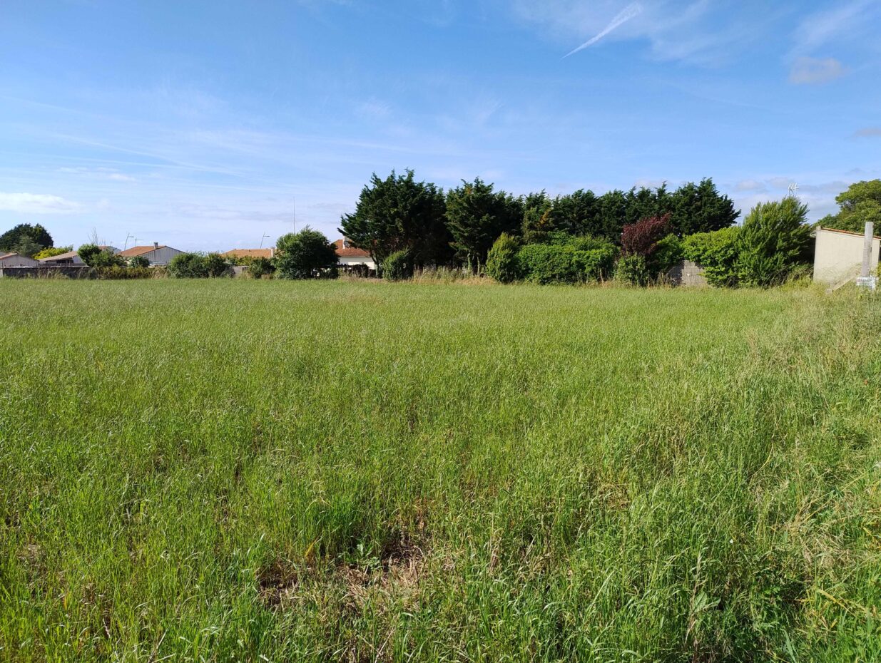 Terrain constructible Saint-nazaire-sur-charente  (Charente-Maritime 17)