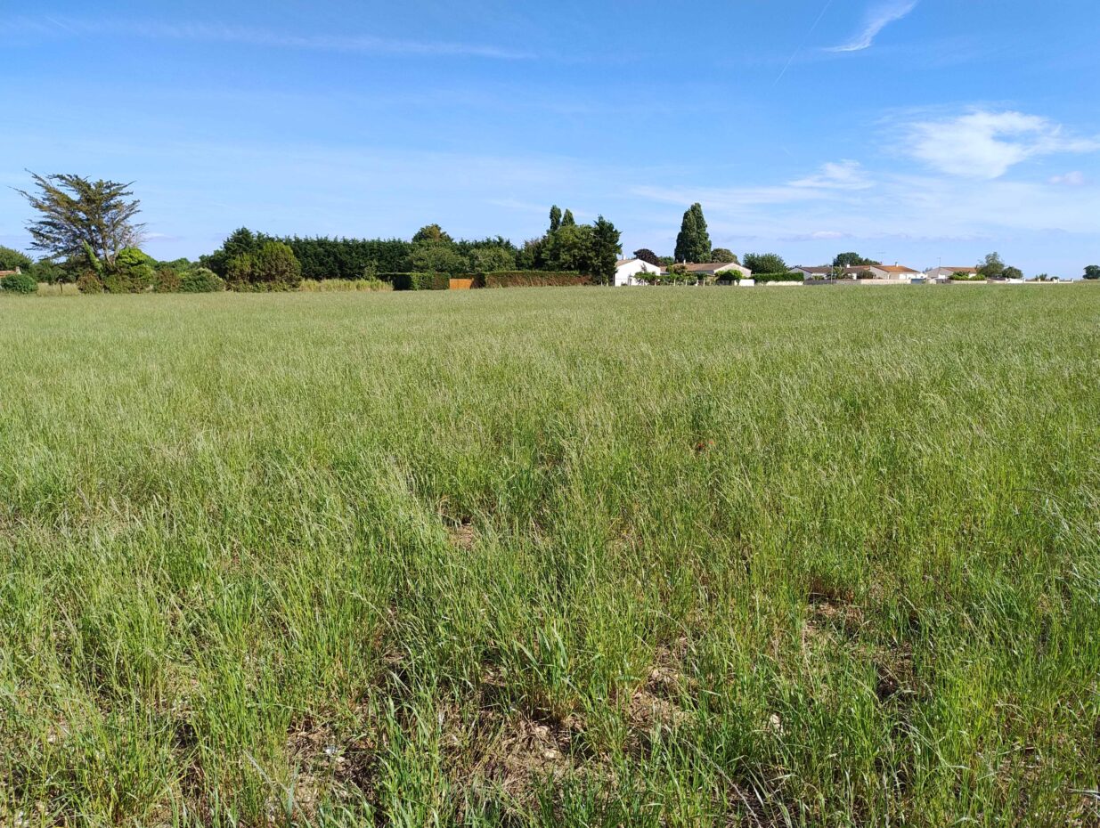 Terrain constructible Saint-nazaire-sur-charente  (Charente-Maritime 17)