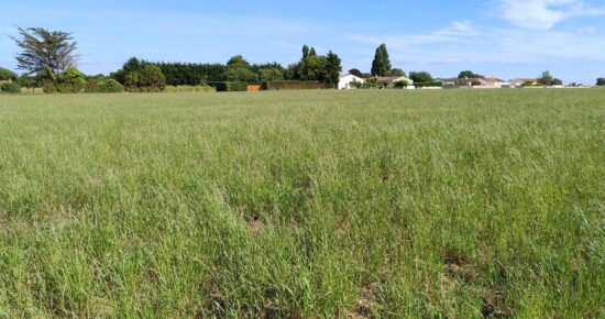 Terrain constructible Saint-nazaire-sur-charente  (Charente-Maritime 17)