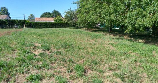 Terrain constructible Saint-porchaire  (Charente-Maritime 17)
