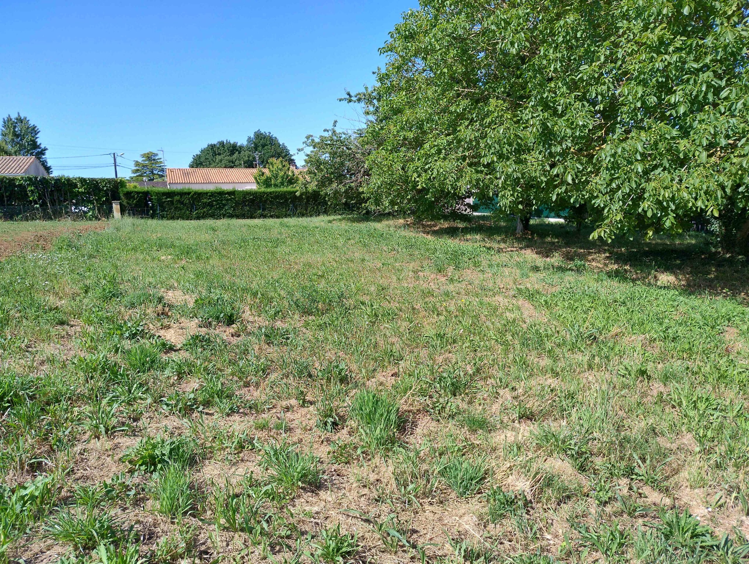 Terrain constructible Saint-porchaire  (Charente-Maritime 17)