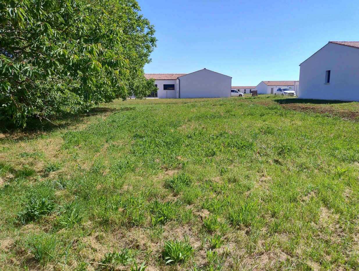 Terrain constructible Saint-porchaire  (Charente-Maritime 17)