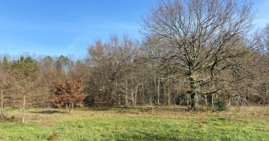 Terrain constructible Le taillan-médoc  (Gironde 33)