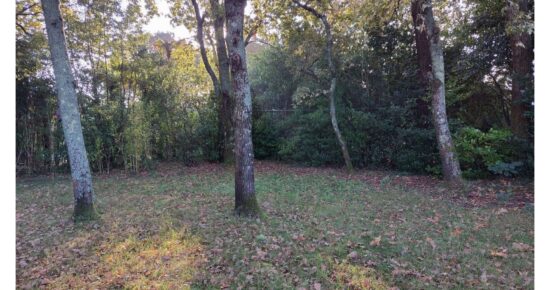 Terrain constructible Gujan-mestras  (Gironde 33)