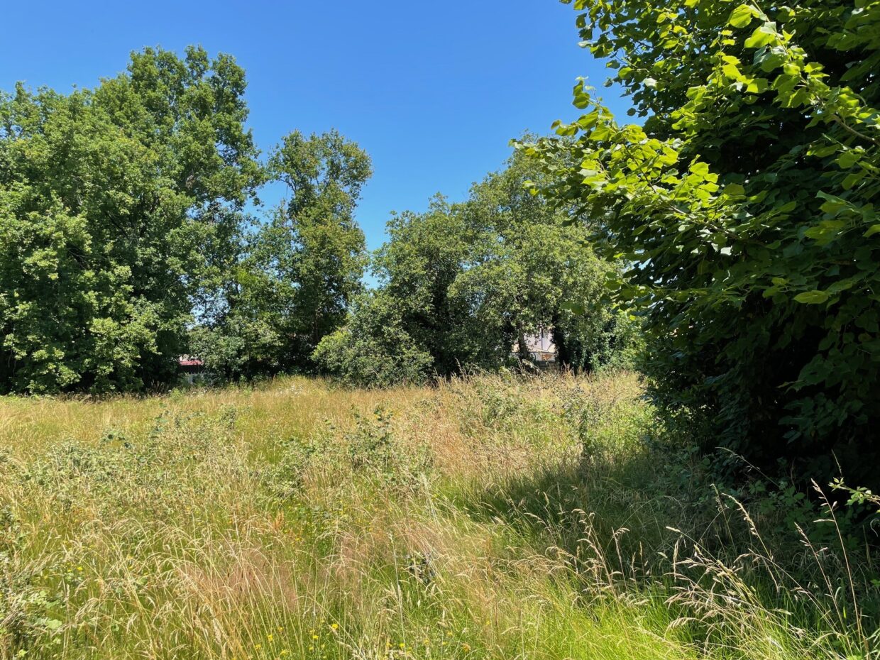 Maison avec terrain Cap ferret  (Gironde 33)