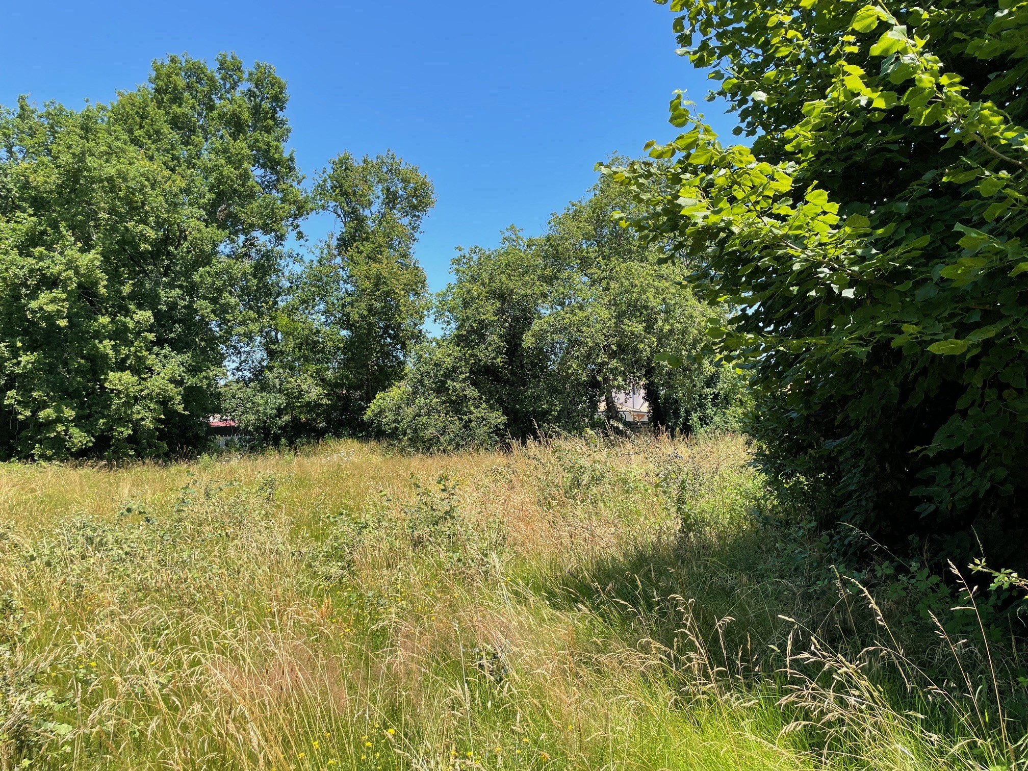 Terrain constructible Cap ferret  (Gironde 33)