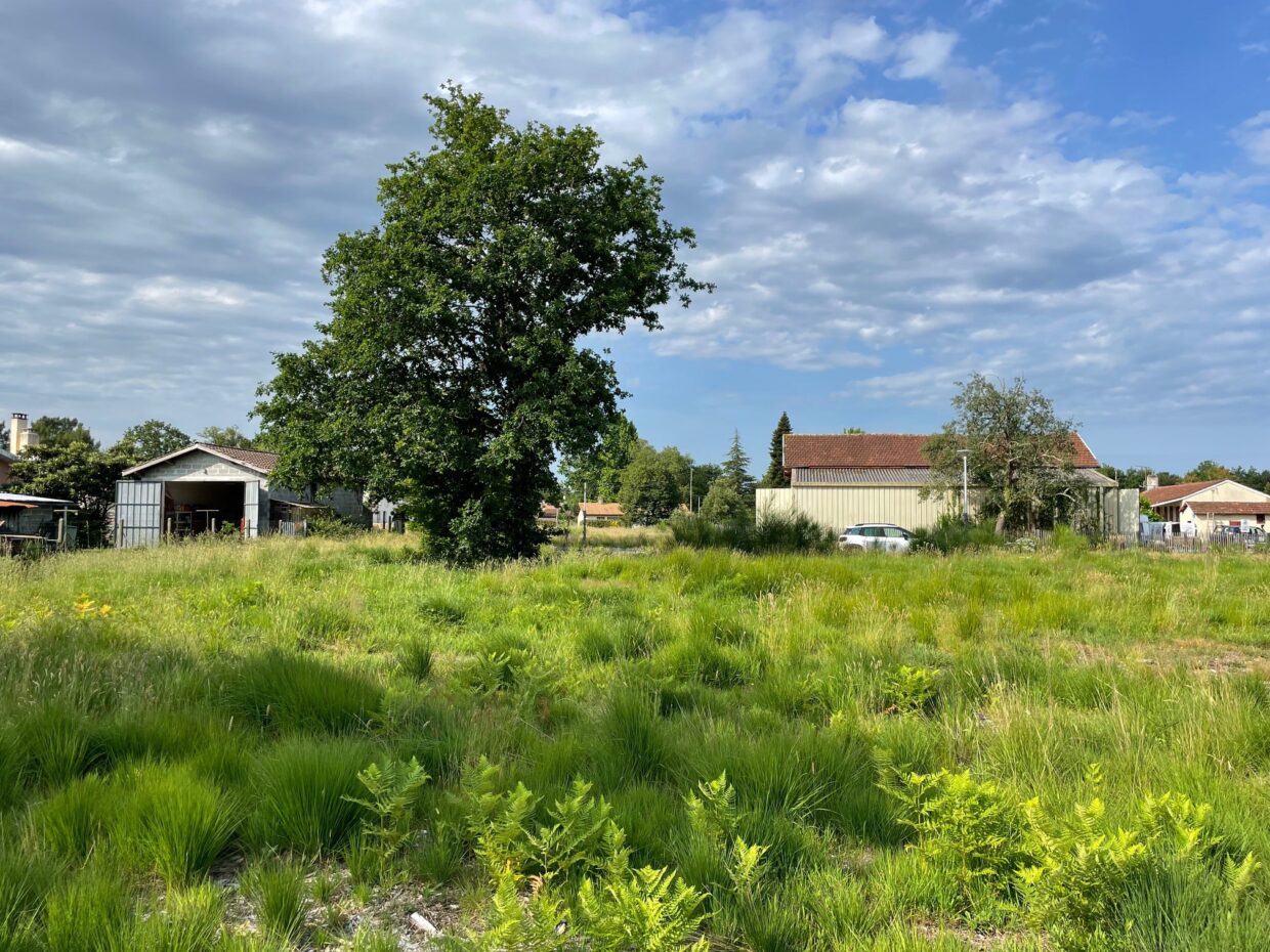 Maison avec terrain Le porge  (Gironde 33)