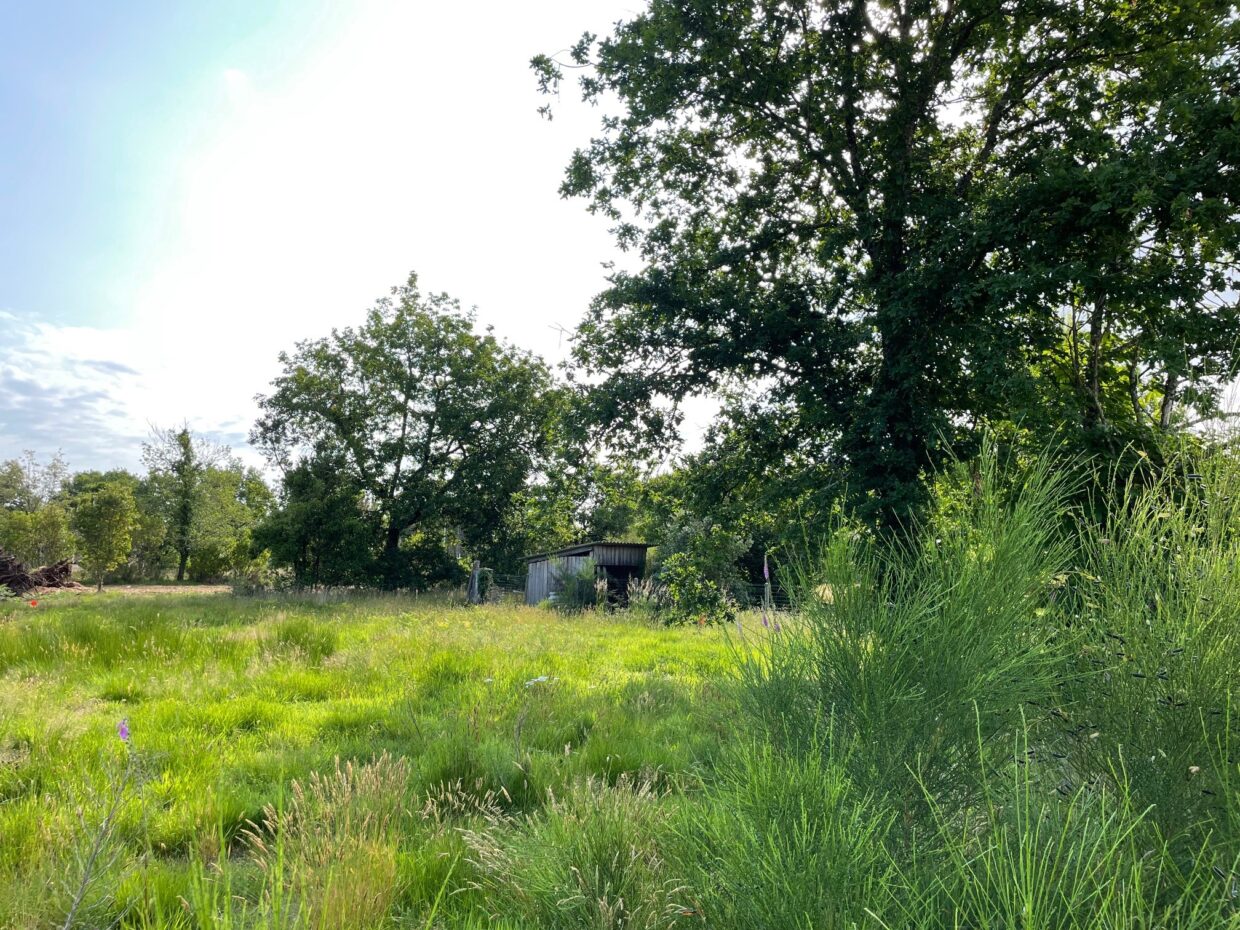 Maison avec terrain Le porge  (Gironde 33)