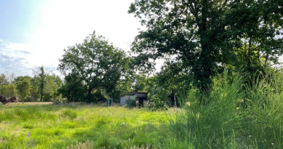 Terrain constructible Le porge  (Gironde 33)