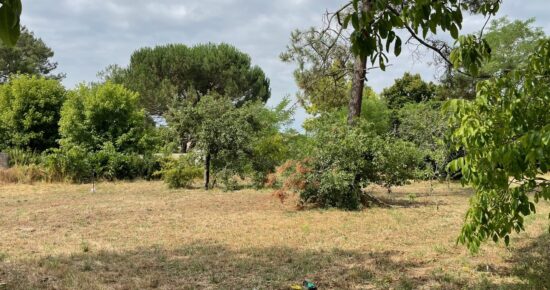 Terrain constructible Saint-yzan-de-soudiac  (Gironde 33)