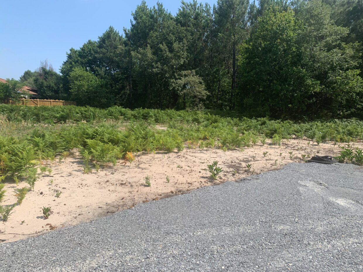 Terrain constructible Pontenx-les-forges  (Landes 40)