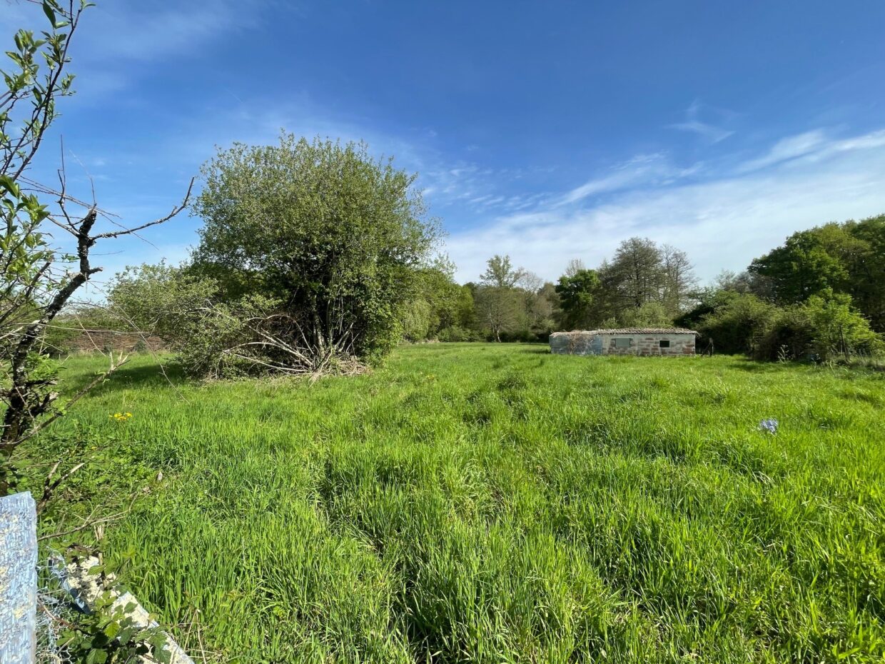 Terrain constructible Pugnac  (Gironde 33)