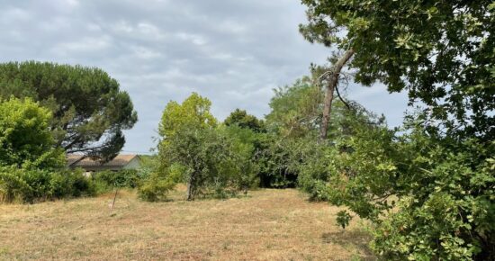 Terrain constructible Lugon-et-l'Île-du-carnay  (Gironde 33)
