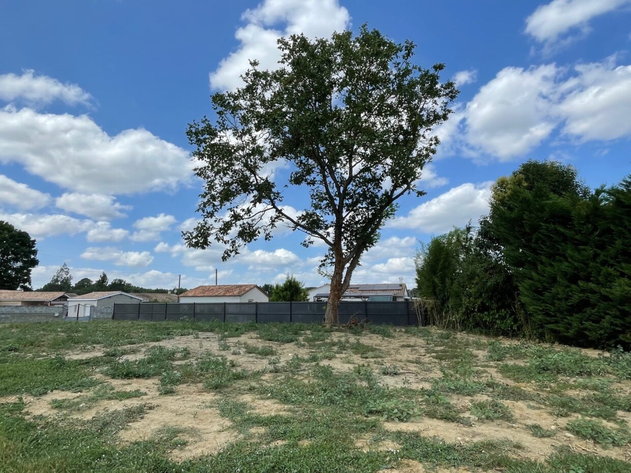 Terrain constructible Peujard  (Gironde 33)